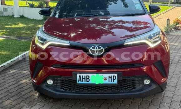 Tenga Tsaru Toyota C-HR Tsvuku Mota in Maputo in Maputo Tenga Tsaru Toyota C-HR Tsvuku Mota in Maputo in Maputo
