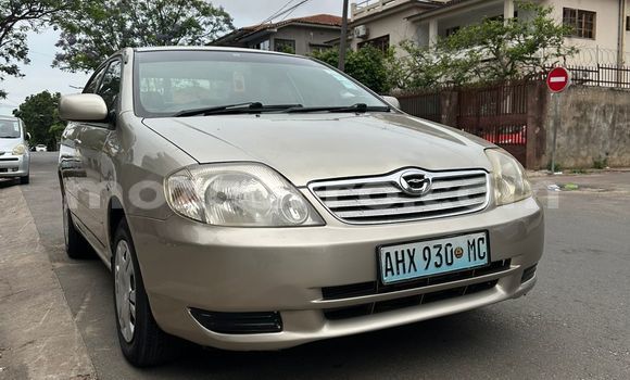 Tenga Tsaru Toyota Corolla Sirivha Mota in Maputo in Maputo Tenga Tsaru Toyota Corolla Sirivha Mota in Maputo in Maputo