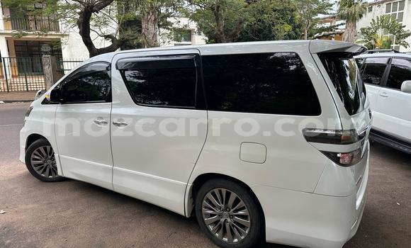 Tenga Tsaru Toyota Vellfire Chena Mota in Maputo in Maputo Tenga Tsaru Toyota Vellfire Chena Mota in Maputo in Maputo