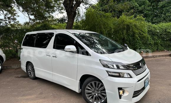 Tenga Tsaru Toyota Vellfire Chena Mota in Maputo in Maputo Tenga Tsaru Toyota Vellfire Chena Mota in Maputo in Maputo