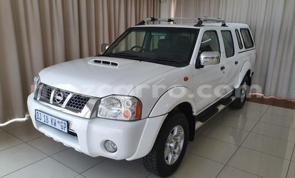 Tenga Tsaru Nissan NP 300 Chena Mota in Maputo in Maputo Tenga Tsaru Nissan NP 300 Chena Mota in Maputo in Maputo