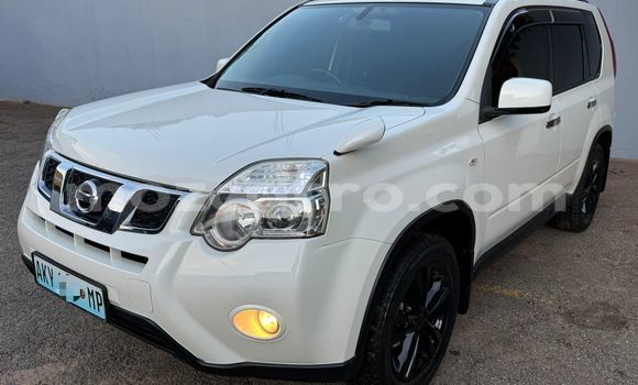 Tenga Tsaru Nissan X-Trail Chena Mota in Maputo in Maputo Tenga Tsaru Nissan X-Trail Chena Mota in Maputo in Maputo
