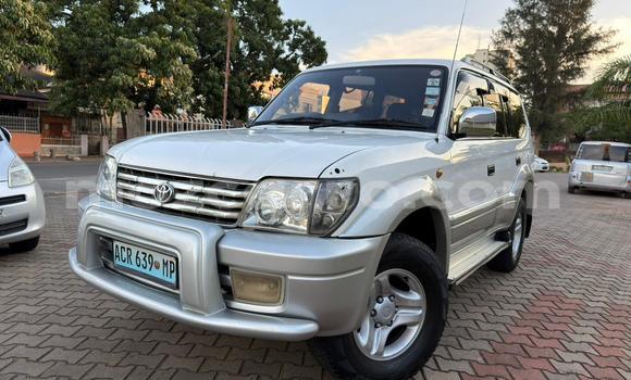 Tenga Tsaru Toyota Land Cruiser Prado Chena Mota in Maputo in Maputo Tenga Tsaru Toyota Land Cruiser Prado Chena Mota in Maputo in Maputo