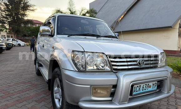Tenga Tsaru Toyota Land Cruiser Prado Chena Mota in Maputo in Maputo Tenga Tsaru Toyota Land Cruiser Prado Chena Mota in Maputo in Maputo