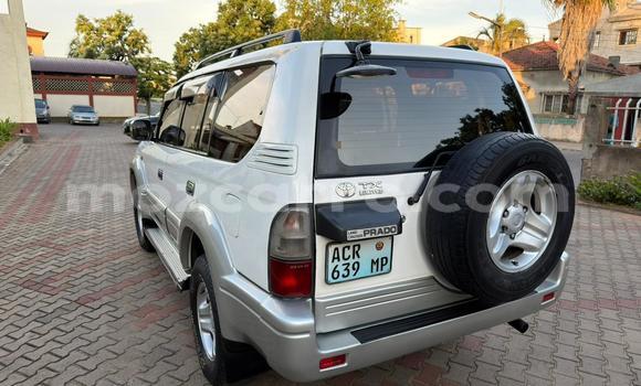 Tenga Tsaru Toyota Land Cruiser Prado Chena Mota in Maputo in Maputo Tenga Tsaru Toyota Land Cruiser Prado Chena Mota in Maputo in Maputo
