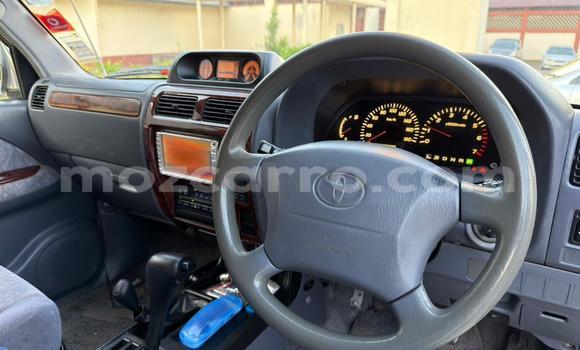 Tenga Tsaru Toyota Land Cruiser Prado Chena Mota in Maputo in Maputo Tenga Tsaru Toyota Land Cruiser Prado Chena Mota in Maputo in Maputo