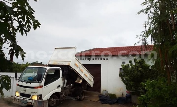 Tenga Tsaru Toyota Dyna Chena Rori in Maputo in Maputo Tenga Tsaru Toyota Dyna Chena Rori in Maputo in Maputo