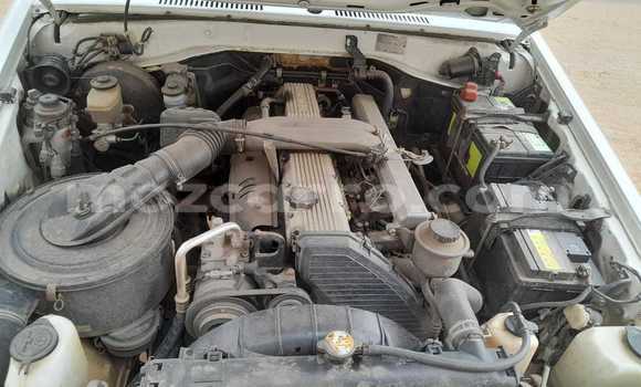 Tenga Tsaru Toyota Land Cruiser Chena Mota in Maputo in Maputo Tenga Tsaru Toyota Land Cruiser Chena Mota in Maputo in Maputo