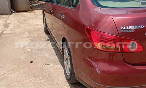 Nunua Ilio tumika Nissan Bluebird Nyekundu Gari ndani ya Maputo nchini Maputo Nunua Ilio tumika Nissan Bluebird Nyekundu Gari ndani ya Maputo nchini Maputo