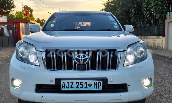 Comprar Novo Toyota Land Cruiser Prado Branco Carro em Maputo em Maputo Comprar Novo Toyota Land Cruiser Prado Branco Carro em Maputo em Maputo