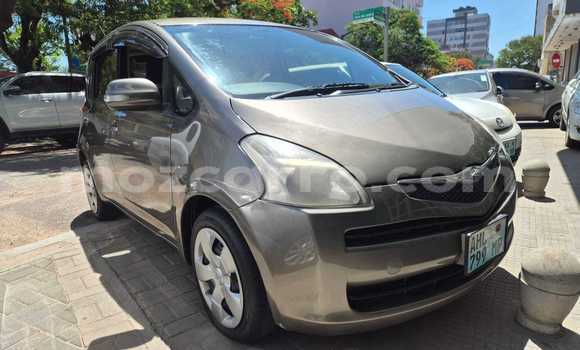 Comprar Usado Toyota Ractis Castanho Carro em Maputo em Maputo Comprar Usado Toyota Ractis Castanho Carro em Maputo em Maputo