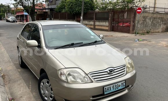 Nunua Ilio tumika Toyota Corolla Fedha Gari ndani ya Maputo nchini Maputo