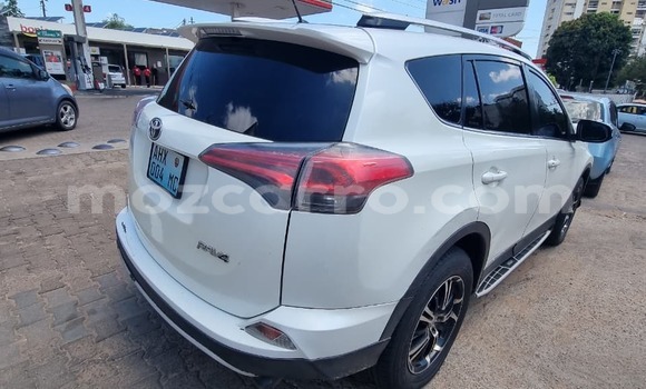 Tenga Tsaru Toyota RAV4 Chena Mota in Maputo in Maputo Tenga Tsaru Toyota RAV4 Chena Mota in Maputo in Maputo