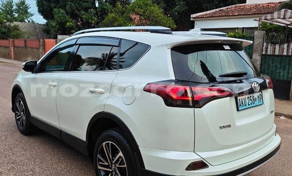 Comprar Novo Toyota RAV4 Branco Carro em Maputo em Maputo Comprar Novo Toyota RAV4 Branco Carro em Maputo em Maputo