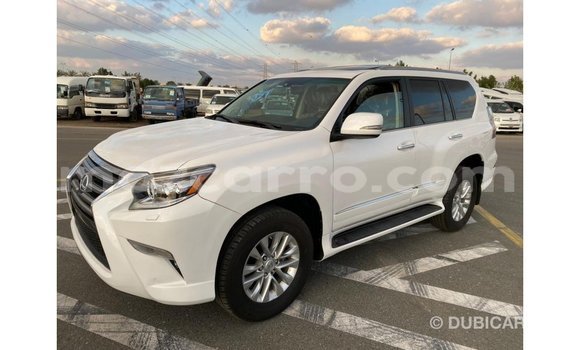 Tenga Imported Lexus GX Chena Mota in Import - Dubai in Cabo Delgado Tenga Imported Lexus GX Chena Mota in Import - Dubai in Cabo Delgado
