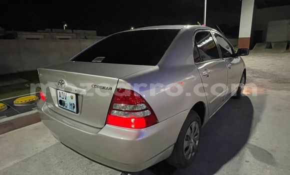 Nunua Ilio tumika Toyota Corolla Other Gari ndani ya Maputo nchini Maputo Nunua Ilio tumika Toyota Corolla Other Gari ndani ya Maputo nchini Maputo