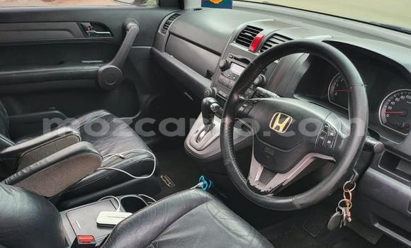 Comprar Usado Honda CR-V Other Carro em Maputo em Maputo Comprar Usado Honda CR-V Other Carro em Maputo em Maputo