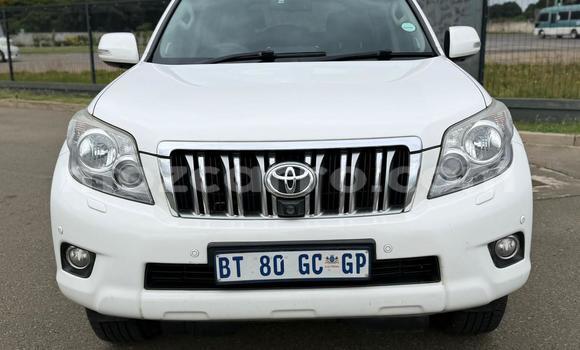 Buy Used Toyota Land Cruiser Prado White Car in Maputo in Maputo