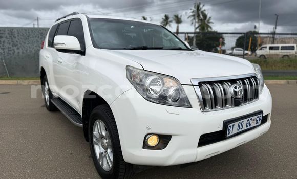 Buy Used Toyota Land Cruiser Prado White Car in Maputo in Maputo