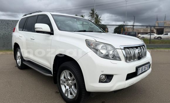 Tenga Tsaru Toyota Land Cruiser Prado Chena Mota in Maputo in Maputo Tenga Tsaru Toyota Land Cruiser Prado Chena Mota in Maputo in Maputo