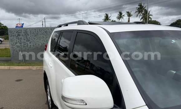 Tenga Tsaru Toyota Land Cruiser Prado Chena Mota in Maputo in Maputo Tenga Tsaru Toyota Land Cruiser Prado Chena Mota in Maputo in Maputo