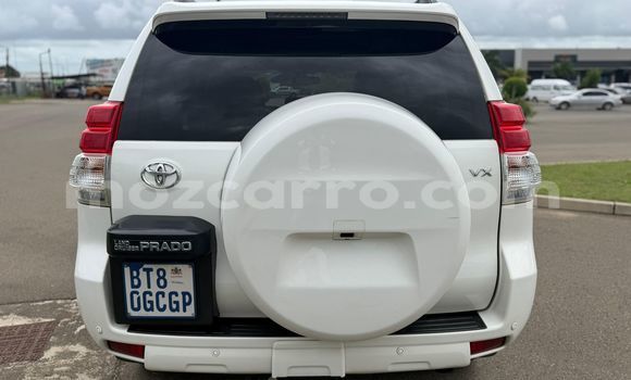 Tenga Tsaru Toyota Land Cruiser Prado Chena Mota in Maputo in Maputo Tenga Tsaru Toyota Land Cruiser Prado Chena Mota in Maputo in Maputo