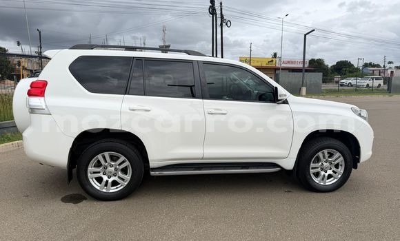 Tenga Tsaru Toyota Land Cruiser Prado Chena Mota in Maputo in Maputo Tenga Tsaru Toyota Land Cruiser Prado Chena Mota in Maputo in Maputo
