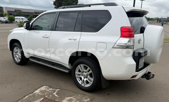 Tenga Tsaru Toyota Land Cruiser Prado Chena Mota in Maputo in Maputo Tenga Tsaru Toyota Land Cruiser Prado Chena Mota in Maputo in Maputo