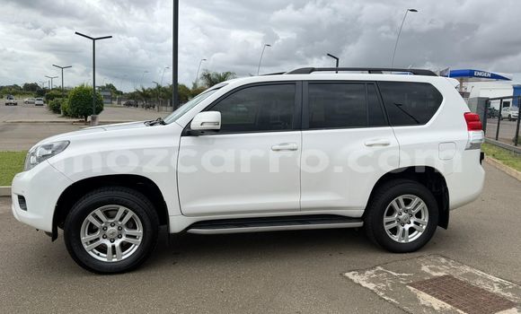 Tenga Tsaru Toyota Land Cruiser Prado Chena Mota in Maputo in Maputo Tenga Tsaru Toyota Land Cruiser Prado Chena Mota in Maputo in Maputo