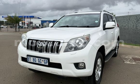 Tenga Tsaru Toyota Land Cruiser Prado Chena Mota in Maputo in Maputo Tenga Tsaru Toyota Land Cruiser Prado Chena Mota in Maputo in Maputo