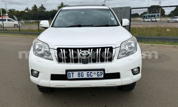Tenga Tsaru Toyota Land Cruiser Prado Chena Mota in Maputo in Maputo Tenga Tsaru Toyota Land Cruiser Prado Chena Mota in Maputo in Maputo