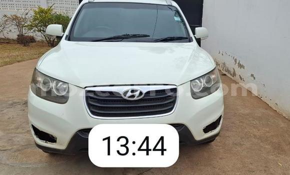 Tenga Tsaru Hyundai Santa Fe Chena Mota in Maputo in Maputo