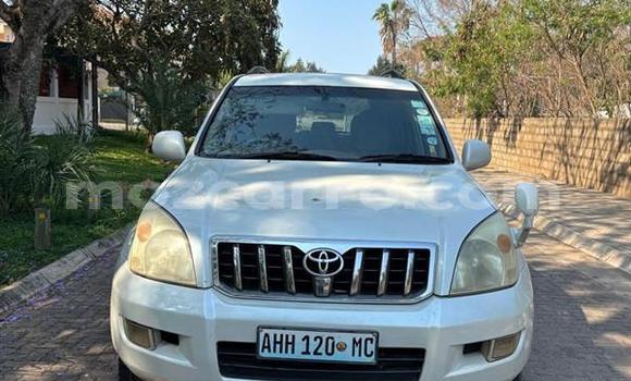 Buy Used Toyota Land Cruiser Prado White Car in Maputo in Maputo