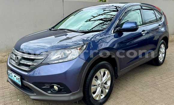 Comprar Novo Honda CR-V Azul Carro em Maputo em Maputo