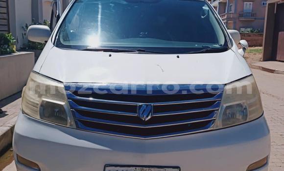 Tenga Tsaru Toyota Alphard Chena Mota in Maputo in Maputo Tenga Tsaru Toyota Alphard Chena Mota in Maputo in Maputo