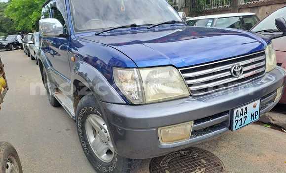 Buy Used Toyota Land Cruiser Prado Blue Car in Maputo in Maputo