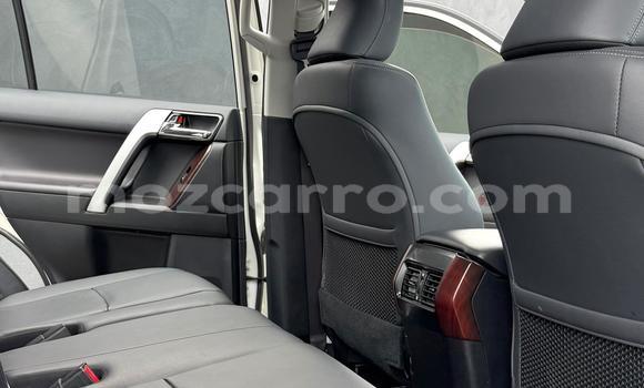 Tenga Tsaru Toyota Land Cruiser Prado Chena Mota in Maputo in Maputo Tenga Tsaru Toyota Land Cruiser Prado Chena Mota in Maputo in Maputo