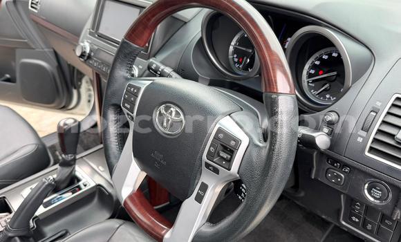 Tenga Tsaru Toyota Land Cruiser Prado Chena Mota in Maputo in Maputo Tenga Tsaru Toyota Land Cruiser Prado Chena Mota in Maputo in Maputo