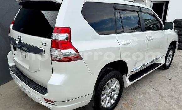 Tenga Tsaru Toyota Land Cruiser Prado Chena Mota in Maputo in Maputo Tenga Tsaru Toyota Land Cruiser Prado Chena Mota in Maputo in Maputo