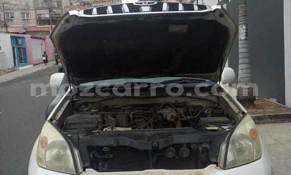 Tenga Tsaru Toyota Land Cruiser Prado Chena Mota in Maputo in Maputo Tenga Tsaru Toyota Land Cruiser Prado Chena Mota in Maputo in Maputo