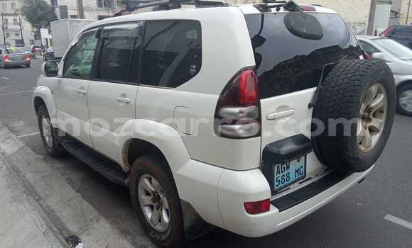 Tenga Tsaru Toyota Land Cruiser Prado Chena Mota in Maputo in Maputo Tenga Tsaru Toyota Land Cruiser Prado Chena Mota in Maputo in Maputo