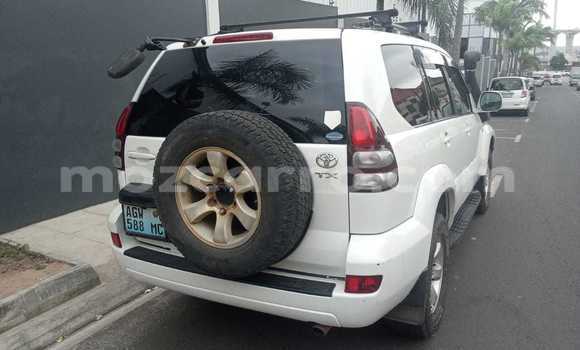Tenga Tsaru Toyota Land Cruiser Prado Chena Mota in Maputo in Maputo Tenga Tsaru Toyota Land Cruiser Prado Chena Mota in Maputo in Maputo