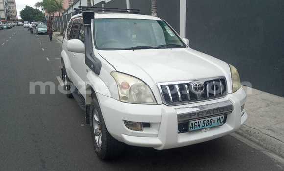 Tenga Tsaru Toyota Land Cruiser Prado Chena Mota in Maputo in Maputo Tenga Tsaru Toyota Land Cruiser Prado Chena Mota in Maputo in Maputo