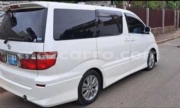 Tenga Tsaru Toyota Alphard Chena Mota in Maputo in Maputo Tenga Tsaru Toyota Alphard Chena Mota in Maputo in Maputo