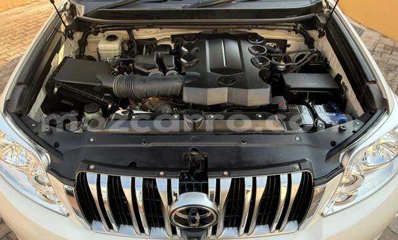 Tenga Itsva Toyota Land Cruiser Prado Chena Mota in Maputo in Maputo Tenga Itsva Toyota Land Cruiser Prado Chena Mota in Maputo in Maputo