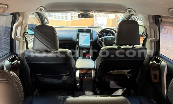 Tenga Itsva Toyota Land Cruiser Prado Chena Mota in Maputo in Maputo Tenga Itsva Toyota Land Cruiser Prado Chena Mota in Maputo in Maputo