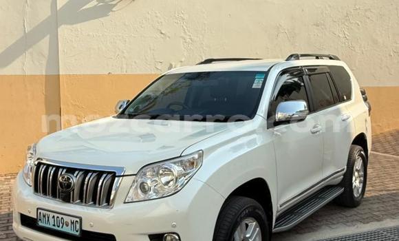 Tenga Itsva Toyota Land Cruiser Prado Chena Mota in Maputo in Maputo Tenga Itsva Toyota Land Cruiser Prado Chena Mota in Maputo in Maputo