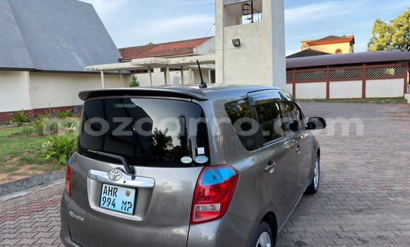 Comprar Usado Toyota Ractis Castanho Carro em Maputo em Maputo Comprar Usado Toyota Ractis Castanho Carro em Maputo em Maputo
