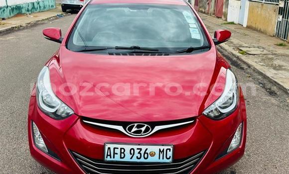 Tenga Tsaru Hyundai Elantra Zvimwe Mota in Maputo in Maputo