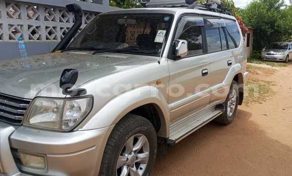 Nunua Ilio tumika Toyota Land Cruiser Prado Other Gari ndani ya Maputo nchini Maputo